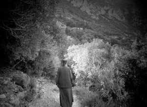 10556391_356455074512026_7287226289702727100_n