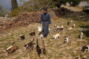 9793d-486602_313820982074584_1369196832_n