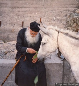 Efraim ieromonahos Katounakiotis11