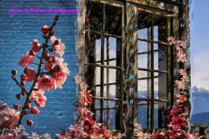 summer_memories_by_rustymermaid-d4ajoyf copy