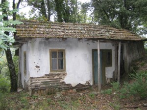 276900-stsiluancellahos